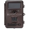 BU119576C