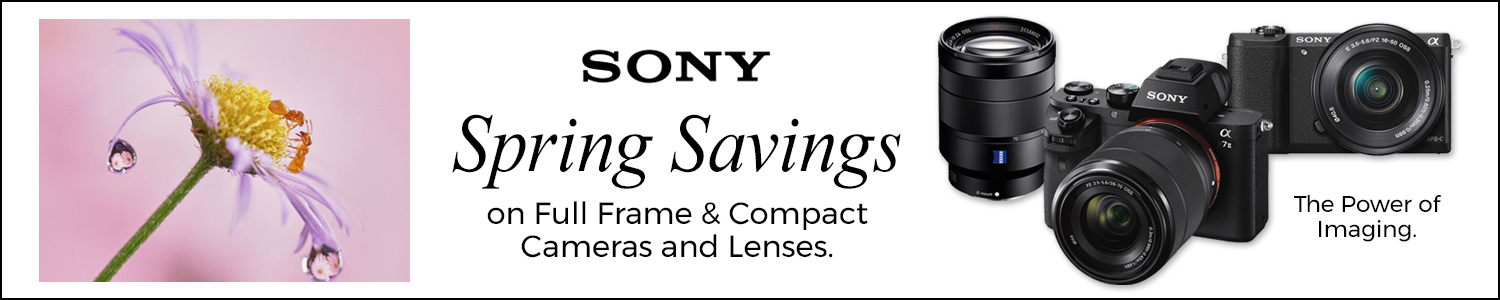 Spring Sony Savings