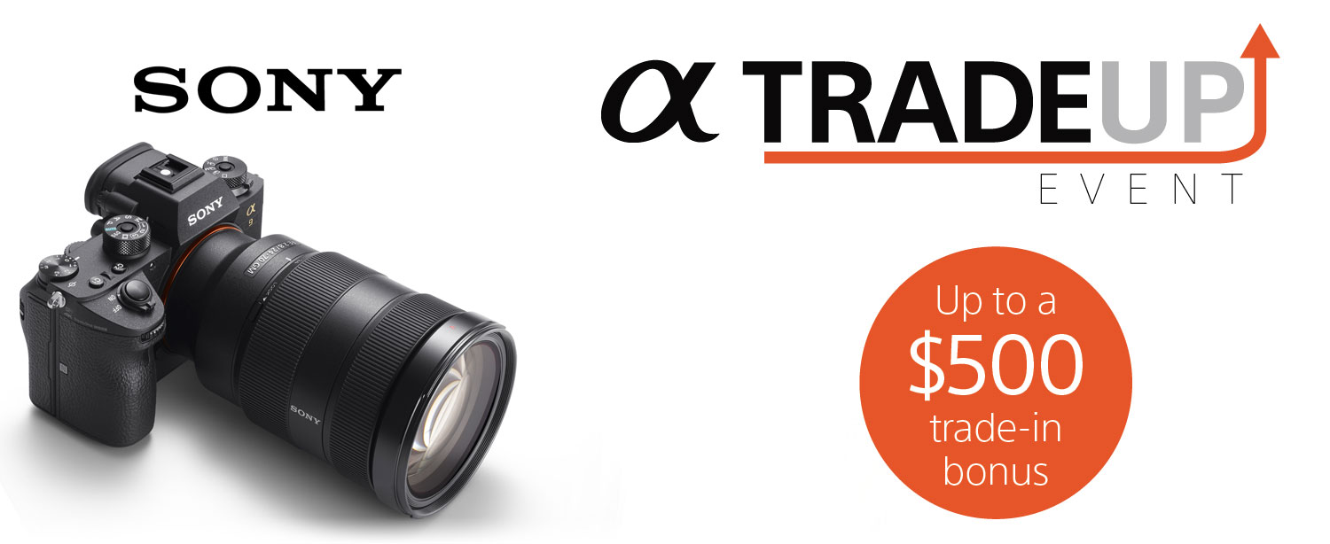 BuyDig Blowout Deals